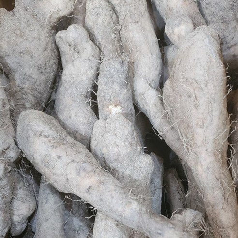 떨이농산 산마 알뜰용 10kg 크기랜 에라 모르겠다 막 드릴게요