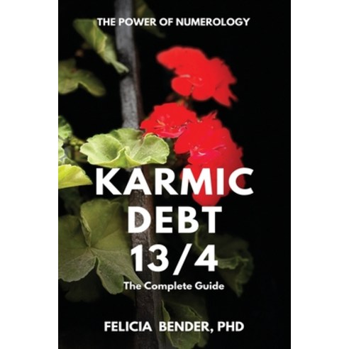 (영문도서) The Power of Numerology: Karmic Debt 13/4 Paperback, Fab Enterprises Ltd., English, 9780985168230