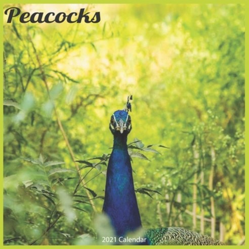 Peacocks 2021 Calendar: Official Peacock Calendar 2021 Wall Calendar Paperback, Independently Published, English, 9798580165769
