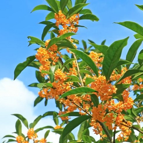 집 안 곳곳의 숨은 냄새를 완벽하게 제거하는 라라비시 섬유 탈취제