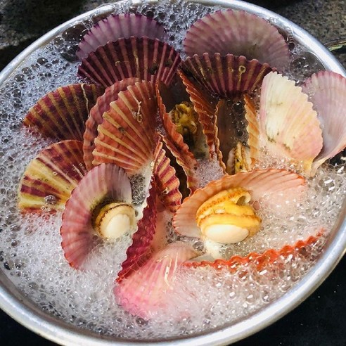 싱싱 당일발송 가리비, 1박스, 홍가리비1kg(1인분)