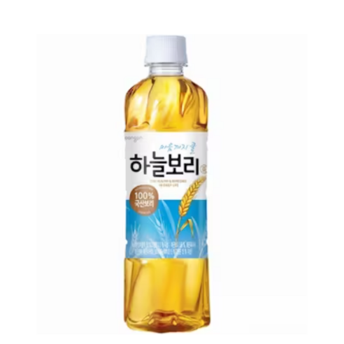 웅진식품 하늘보리 500ml, 48개