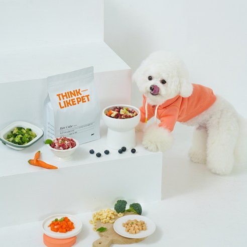 씽크라이크펫 강아지 큐브 생식은 건강한 애완견을 위한 최고의 선택