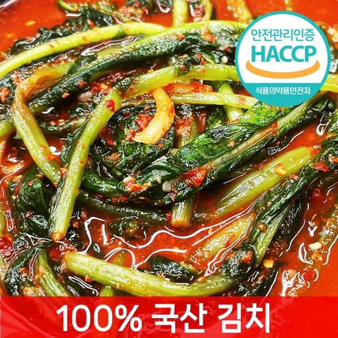 입안 가득 퍼지는 전라도의 깊은 손맛, 당일제조 열무물김치 짜박이의 향연 당일제조열무물김치