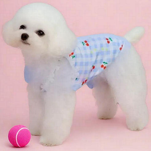 로얄리노 강아지 애견 봄 여름 가을 체크 체리 옷, 티파니블루