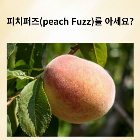 상품 이미지 4