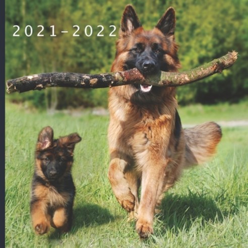 2021 - 2022: 18 Month Calendar - Monthly Photo Calendar - July 2021 - December 2022 - Monthly Calend... Paperback, Independently Published, English, 9798732701722