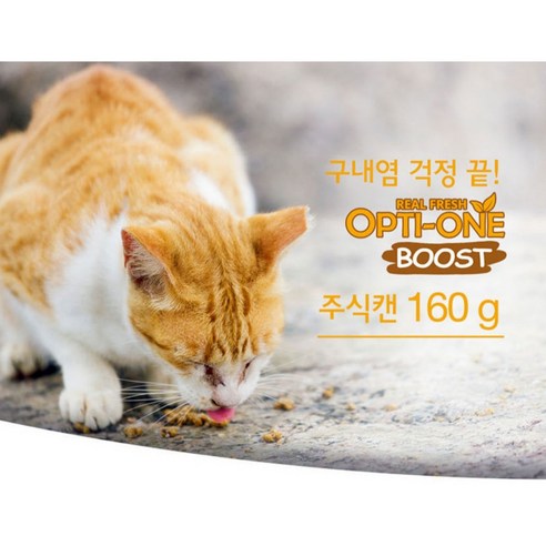 고양이를 위한 영양가 있고 맛있는 간식