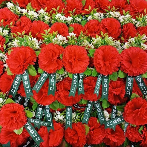 감사의 마음을 붉게 물들이다: 카네이션 코사지로 전하는 특별한 마음 카네이션코사지