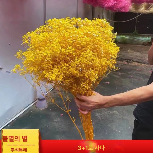 크리스마스 선물용 드라이플라워 꽃다발