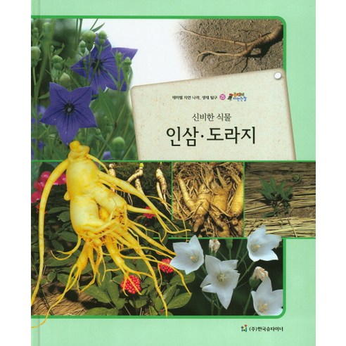 신비한 식물 인삼 도라지:테마별 자연 나라 생태 탐구, 한국슈타이너