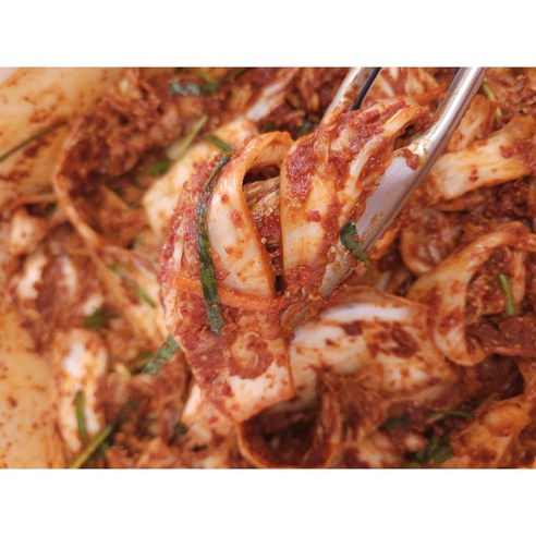 입안 가득 퍼지는 전라도의 풍요로운 맛, 광주 김치하우스 겉절이