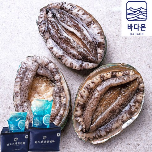 [선물포장] 바다온 완도활전복 大 14마리 (마리당71g내외), 단일속성