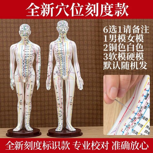 침구 경혈모형 한의학 혈자리 모형 인체 동인 실습 마네킹 한의원 전신 - 한의학/한방치료 | 쿠팡