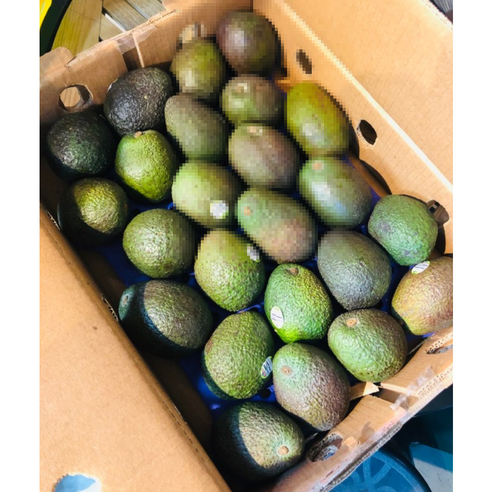 수입산 프리미엄 칠레 아보카도10개 아보카도20개 과일아보카도 아보카도중대과 Avocado 생아보카도 신선한아보카도, 1개, 2kg(10개)