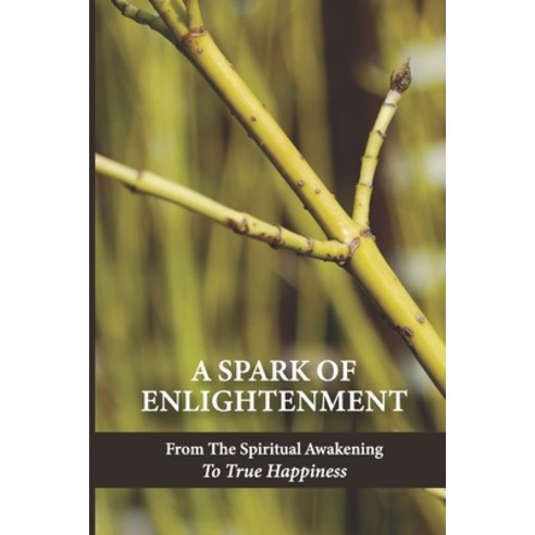 (영문도서) A Spark Of Enlightenment: From The Spiritual Awakening To True Happiness: Reminders For Living Paperback, Independently Published, English, 9798518091344