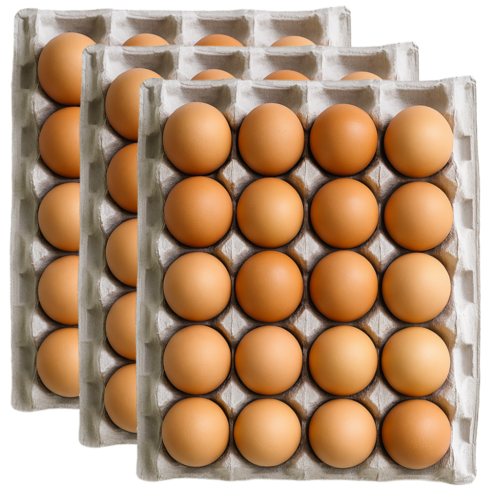 난각번호1번 계란 유정란 난각1번 HACCP 무항생제 달걀, 60구, 1개