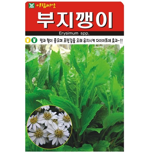 부지깽이 씨앗 100립, 1개
