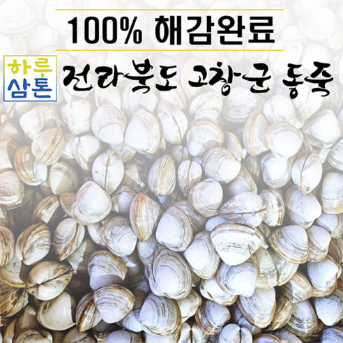 (당일배송 무료배송)고창 동죽 10kg (해감완료)평일 주문 시 다음날 택배 도착, 1개