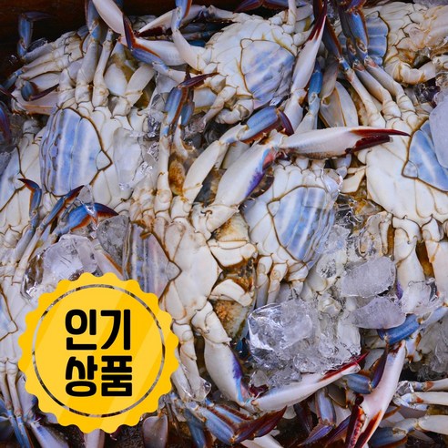 초특가세일 서해안 급랭 꽃게, 1개, 2kg