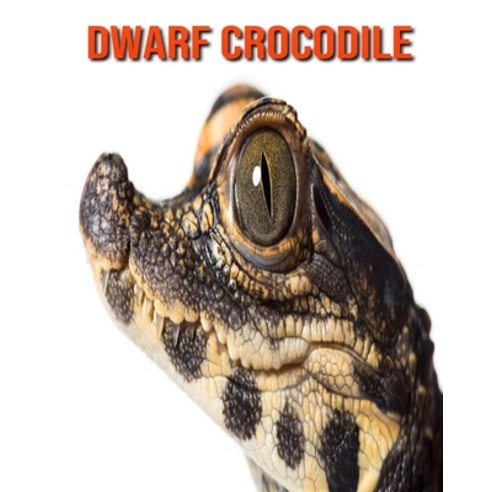 (영문도서) Dwarf Crocodile: Amazing Facts & Pictures Paperback, Independently Published