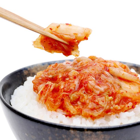 국내산 김치담그기 초간편 김치만들기 이기순 김치명인, 1개, 500g 김치면세점 Best Top5 국내산 김치담그기 초간편 김치만들기 이기순 김치명인, 1개, 500g 김치면세점 Best Top5