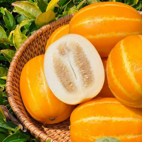 [단독특가] 유명산지 당도선별 성주 꿀 참외, 1박스, 5kg(소과)