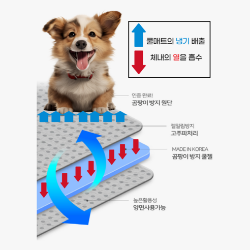 더위 피로 퇴치, 반려동물 쿨매트