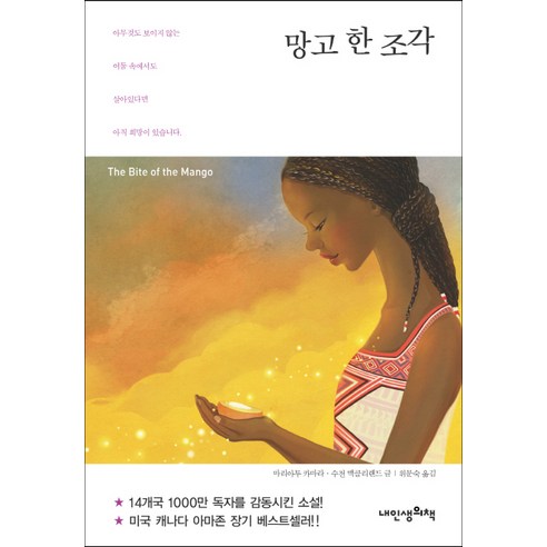 망고 한 조각, 내인생의책, 마리아투 카마라,수전 맥클리랜드 공저/위문숙 역 내이름은망고