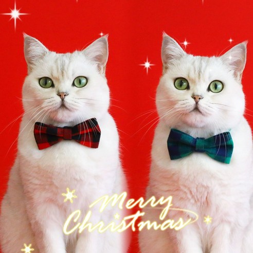 강아지 고양이 체크 리본 보타이 크리스마스 나비 넥타이 목걸이, 그린