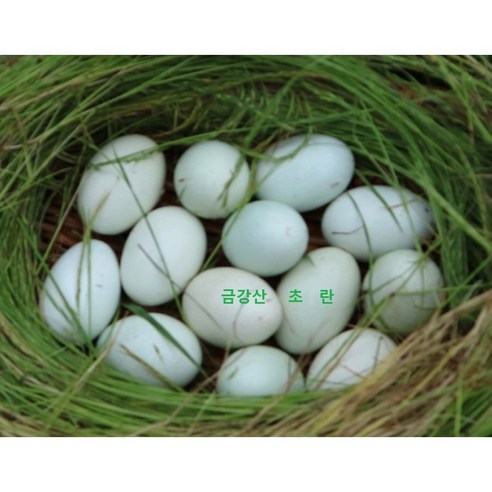 껍질부터 남다른 신선함! 매일 아침이 기다려지는 특별한 달걀 이야기 청계란