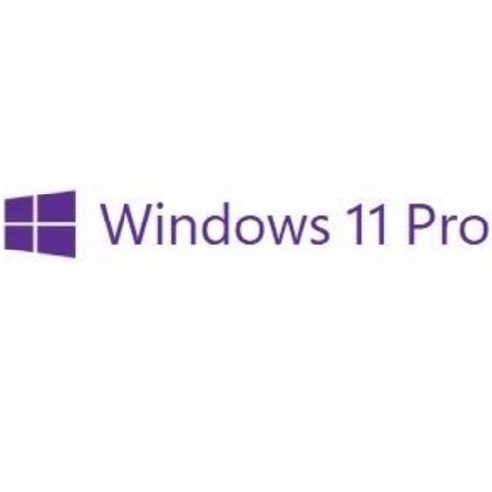 마이크로소프트 Windows 11 Pro 한글 64bit DSP(COEM) 정품