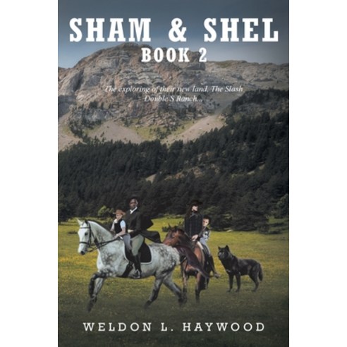 (영문도서) Sham & Shel: Book 2 Paperback, Fulton Books, English, 9781638601753