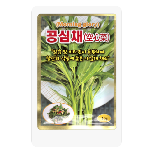 공심채씨앗 10g 공심채씨 씨앗대장 동원종묘, 1개