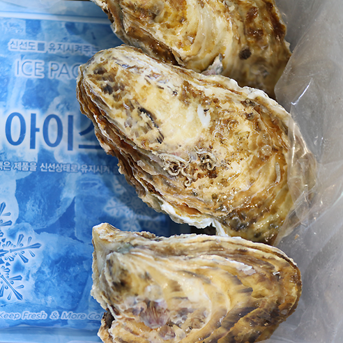 맛있는 해산물을 위한 최고의 선택: 장보고닷컴 통영 각굴 석화