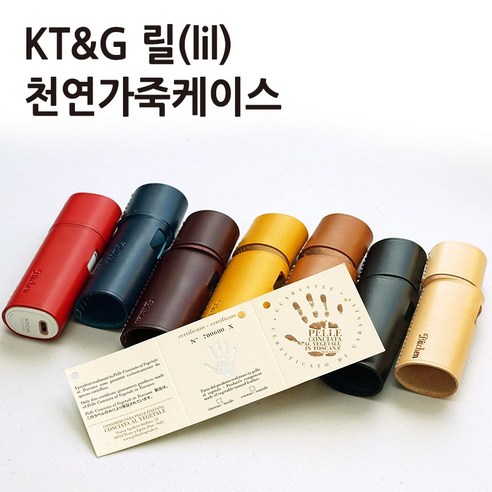 나비공방 KT&G 릴 하이브리드 3.0 가죽케이스
