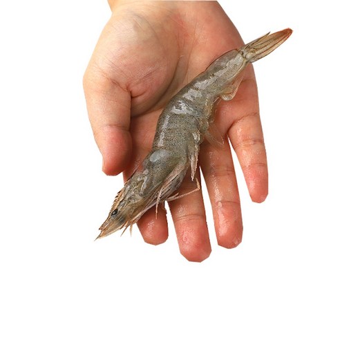 신선하고 맛있는 흰다리 새우로 집에서 편안하게 해산물의 즐거움을 누리세요.