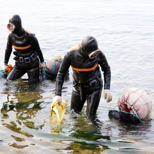 산지직송 자연산 최고급 홍해삼 제철 해삼회, 바다의 진미를 집에서 즐기세요
