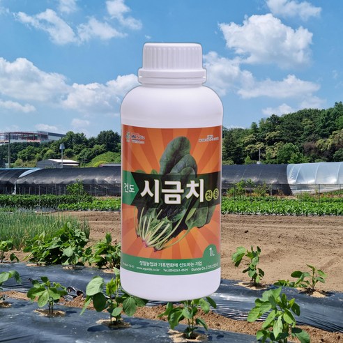 시금치전용비료 1L 고농축 필수 품질강화 액상 비료 국산 건도산업사