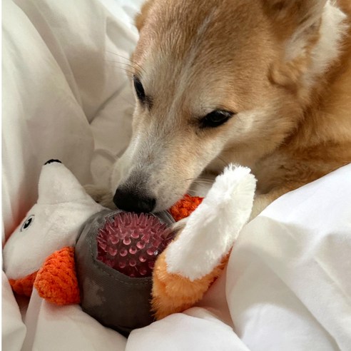 그로우핸즈 강아지 바스락 삑삑 장난감, 1개, 여우