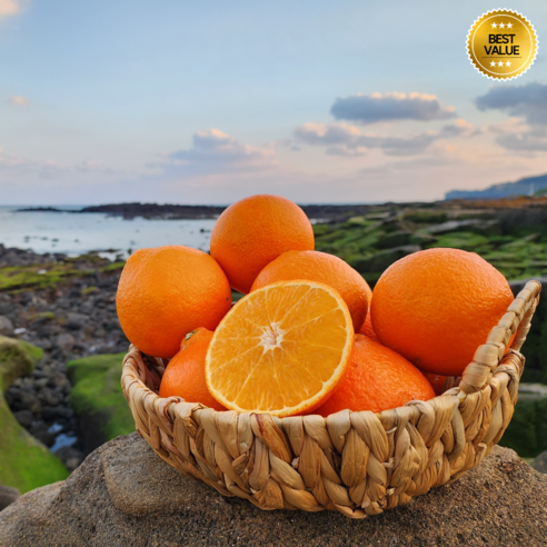 제주의 햇살을 가득 담은, 입 안 가득 퍼지는 황홀한 달콤함: 농장 직송 천혜향의 특별한 경험 귤10kg