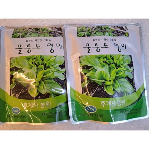 울릉도 명이나물 장아찌로 매일 밥상을 풍성하게