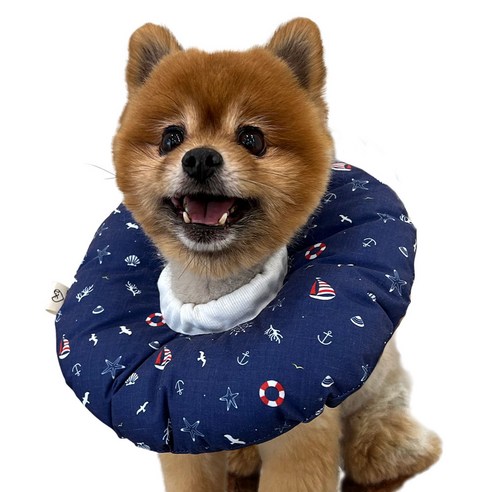 보드미펫 강아지 고양이 넥카라 중성화 목보호대 목카라, 마린블루, 1개