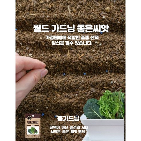 정원, 텃밭에 신선하고 향기로운 로즈마리 허브 키우기