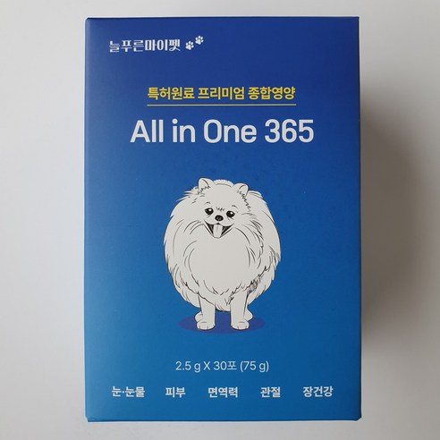 애견 건강과 웰빙을 위한 올인원 솔루션