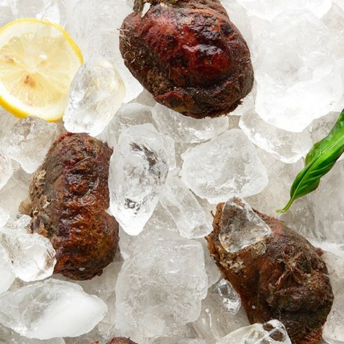 거제도 자연산 돌멍게: 신선함과 맛의 완벽한 조화