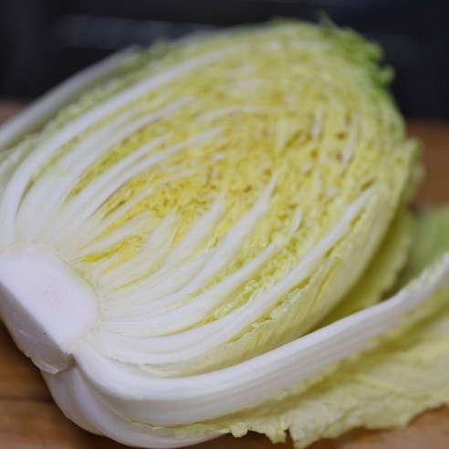 해남 알배추로 김장 스트레스 없이 쉽고 맛있게!