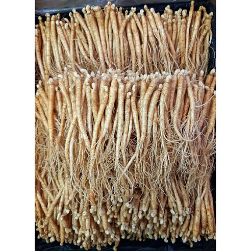 삼계탕용 갈비탕용 작은 실삼계 무료세척 실속형 100뿌리이상, 잔삼계500g(65-100뿌리), (세척해주세요O), 1개