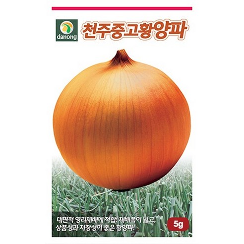 다농 천주중고황양파 100g 채소 종자