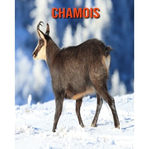 (영문도서) Chamois: Beautiful Pictures & Interesting Facts Children Book About Chamois Paperback, Independently Published, English, 9798508061159